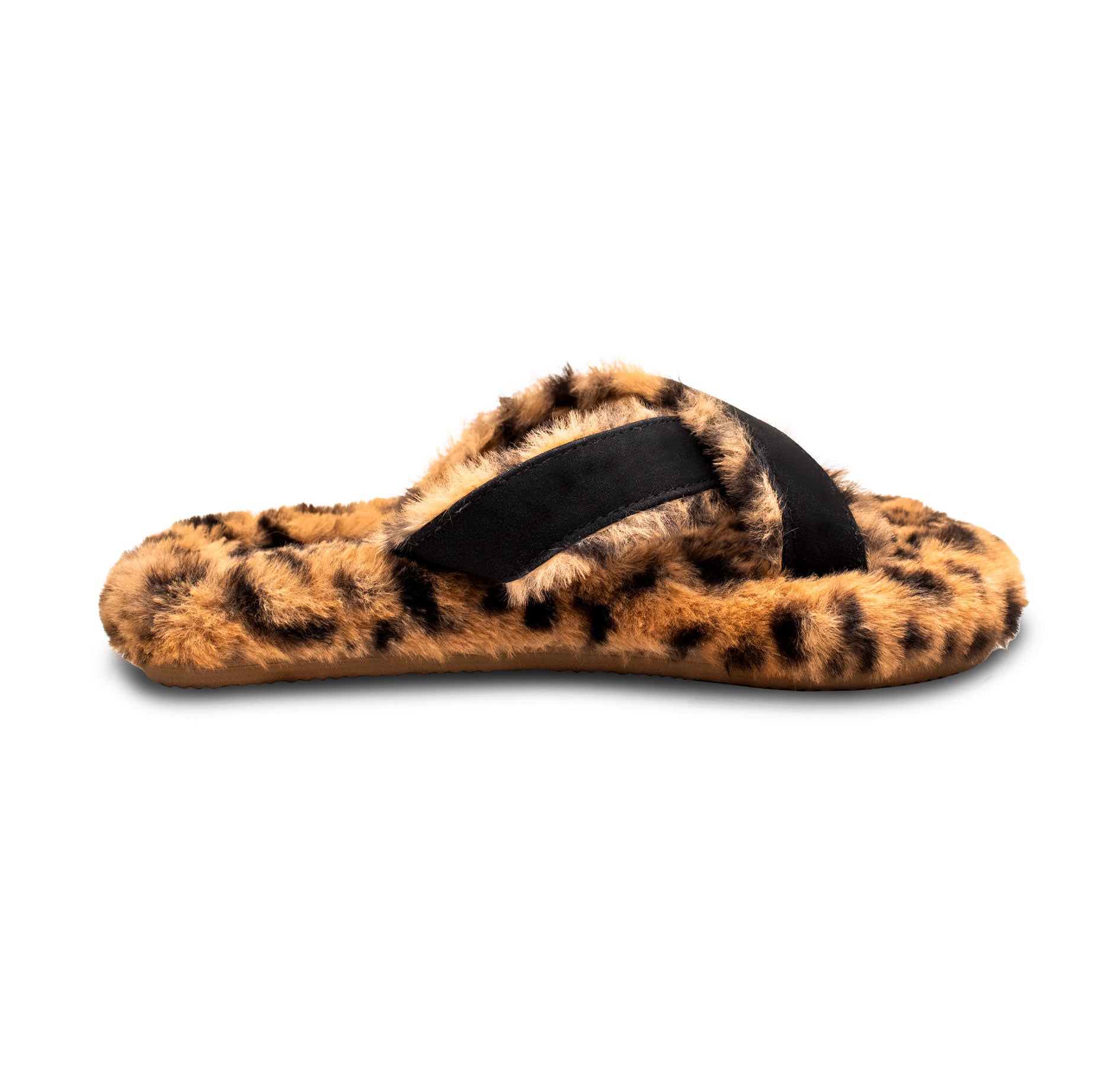 #color_Black/Tan Leopard